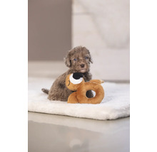 Un cățeluș cu jucăria sa pe o pătură