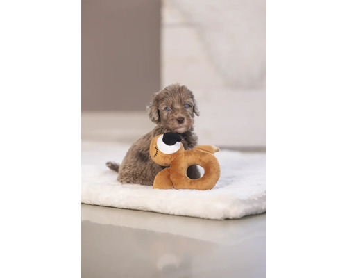 Un cățeluș cu jucăria sa pe o pătură