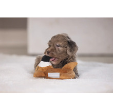 Un cățeluș mestecă o jucărie pentru câini în formă de rață.