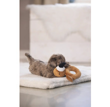 Câine mic stând pe un pat de câine și jucându-se cu o jucărie.