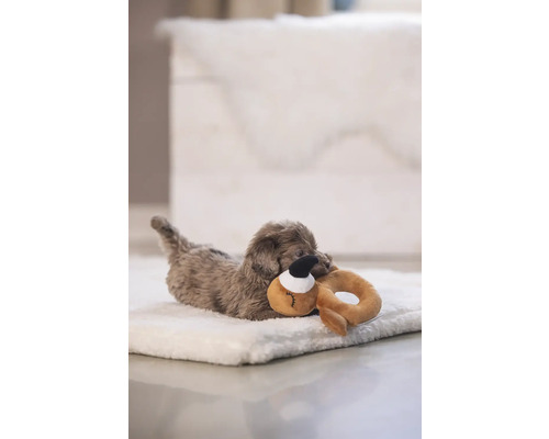 Câine mic stând pe un pat de câine și jucându-se cu o jucărie.