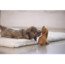 Cățeluș maro cu jucărie pe o suprafață moale