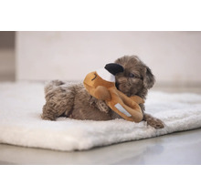 Un cățeluș maro stă întins pe o pătură albă și se joacă cu o jucărie de pluș.