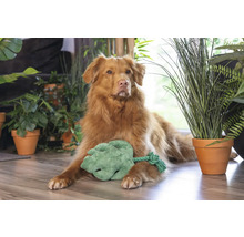 Câine întins pe podea cu o frunză de jucărie înconjurat de plante de interior.