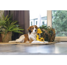 Un câine se odihnește cu o jucărie de pluș pe un covor într-o cameră.