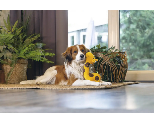 Un câine se odihnește cu o jucărie de pluș pe un covor într-o cameră.