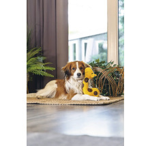 Câine culcat cu o girafă de jucărie pe un covor