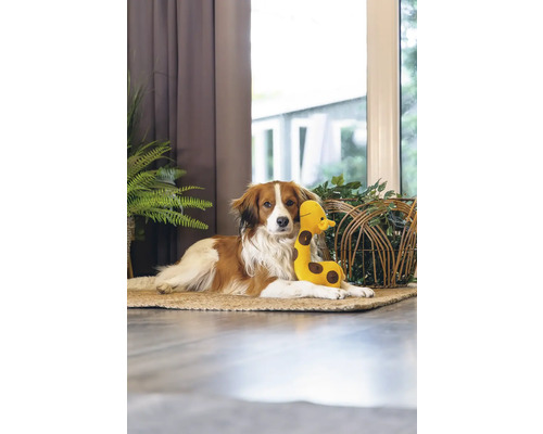 Câine culcat cu o girafă de jucărie pe un covor