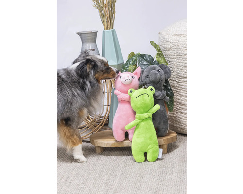 Scenă cu câine și animale de pluș: broască, porc și koala pe o masă de lemn.