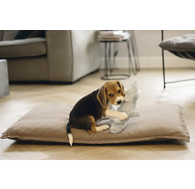 Un pui de beagle se joacă cu o jucărie de pluș pe o pernă pentru câini într-un living.