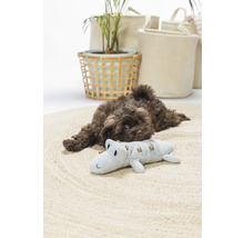 Un cățeluș maro se odihnește pe un covor rotund lângă o jucărie crocodil, înconjurat de coșuri decorative și o plantă.