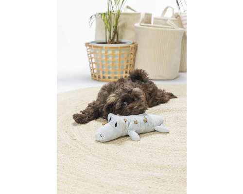 Un cățeluș maro se odihnește pe un covor rotund lângă o jucărie crocodil, înconjurat de coșuri decorative și o plantă.