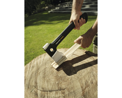 Topor despicând lemne pe un butuc de copac