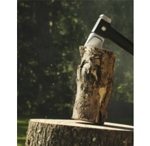 Topor despicând lemn pe un butuc