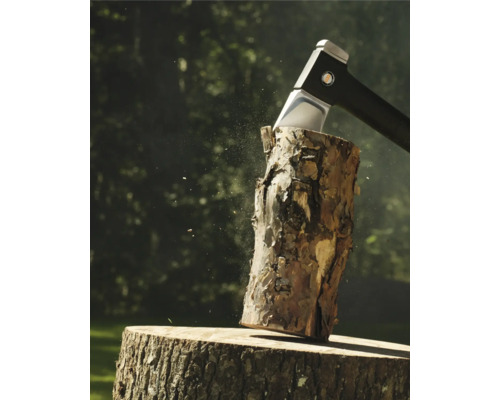 Topor despicând lemn pe un butuc