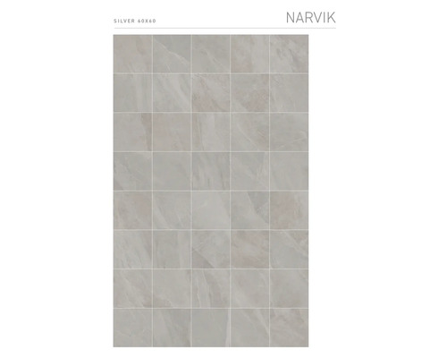 Model gresie Narvik argintiu 60x60