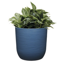 Plantă într-un ghiveci texturat