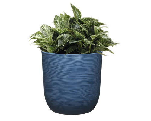 Plantă într-un ghiveci texturat