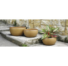 Trei jardiniere rotunde pe o scară de piatră, una dintre ele cu o plantă