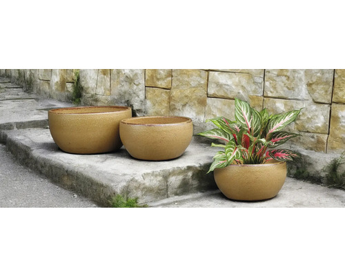 Trei jardiniere rotunde pe o scară de piatră, una dintre ele cu o plantă