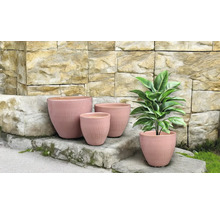 Ghivece de flori de diferite dimensiuni în fața unui zid de piatră