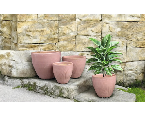 Ghivece de flori de diferite dimensiuni în fața unui zid de piatră