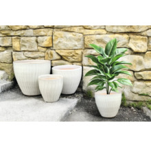 Grup de jardiniere cu suprafață canelată și o plantă de apartament în fața unui zid de piatră