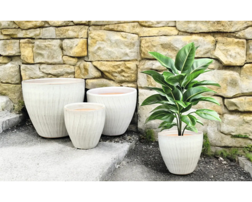 Grup de jardiniere cu suprafață canelată și o plantă de apartament în fața unui zid de piatră