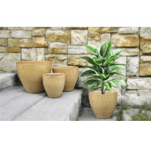 Aranjament de patru jardiniere pe o scară de piatră cu o plantă într-unul dintre recipiente.