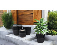 Ghivece decorative de diferite dimensiuni pe o scară