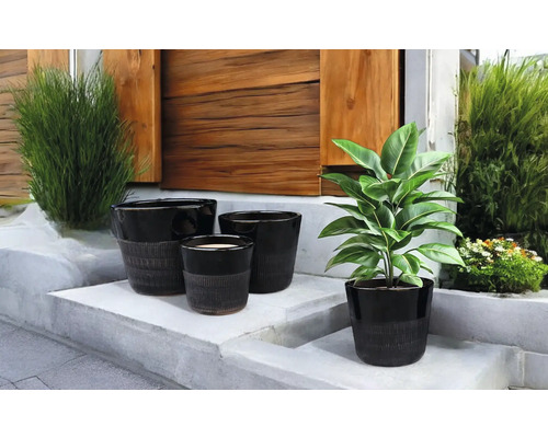 Ghivece decorative de diferite dimensiuni pe o scară