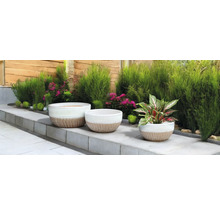 Scenă cu trei jardiniere și plante în grădină