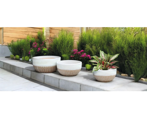 Scenă cu trei jardiniere și plante în grădină