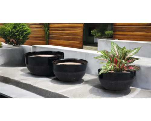 Trei jardiniere negre de diferite dimensiuni pe o treaptă de piatră cu plante