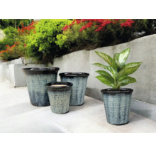 Vaze de flori de diferite dimensiuni pe o terasă cu plante