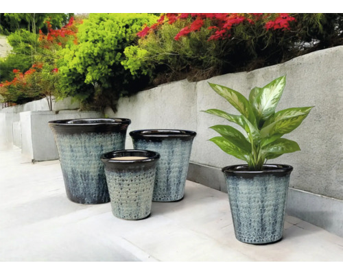Vaze de flori de diferite dimensiuni pe o terasă cu plante