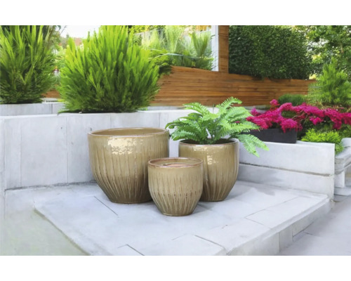 Scenă cu trei ghivece de flori din ceramică în grădină