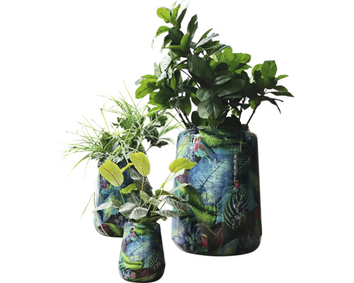 Trei vaze decorative cu model de plante și diverse plante verzi