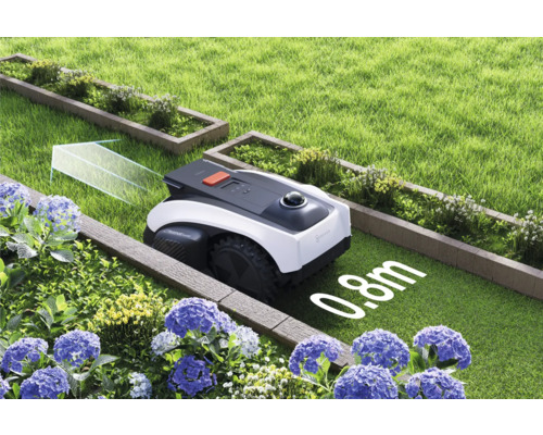 Robot de tuns iarba în grădină, între straturi de flori și gazon