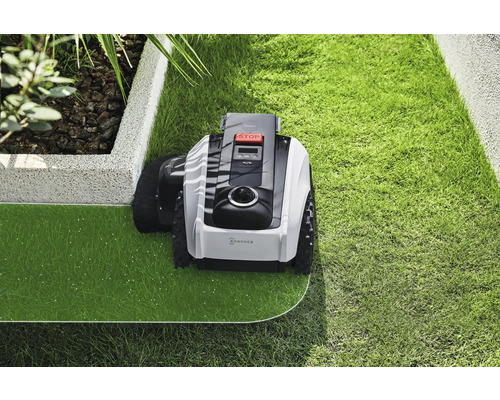 Robot de tuns iarba efectuând îngrijirea gazonului într-o grădină.