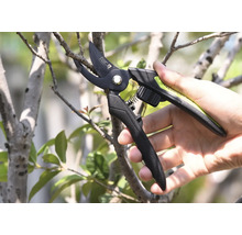 Foarfecă de grădină care taie o ramură