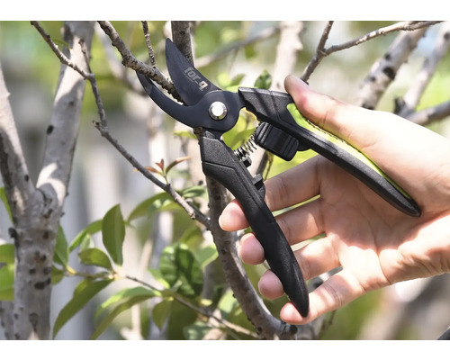Foarfecă de grădină care taie o ramură