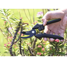 O mână folosește un foarfece de grădinărit marca For Q pentru a tăia o ramură spinoasă.