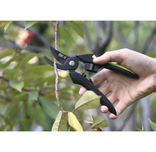 O mână ține un foarfece de grădină care taie o ramură.