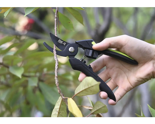 O mână ține un foarfece de grădină care taie o ramură.