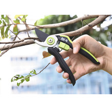 Foarfece de grădină taie o ramură