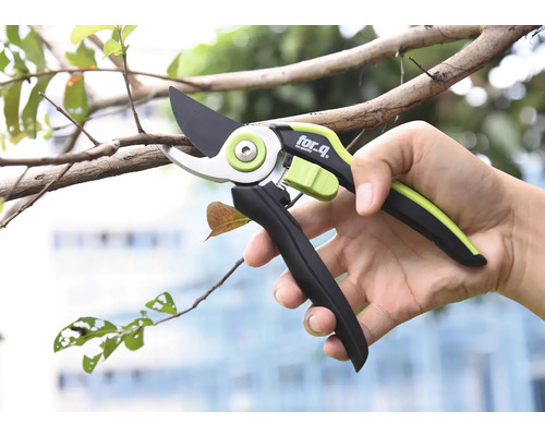 Foarfece de grădină taie o ramură