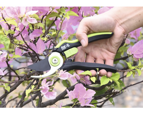 O mână taie o creangă cu o foarfecă de grădină marca For Q