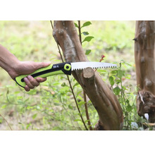 Fierăstrău de mână taie ramura