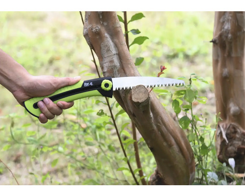 Fierăstrău de mână taie ramura